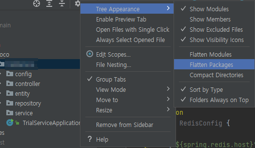 IntelliJ 패키지가 접혀서 나오는 경우